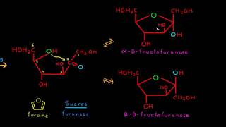 Cyclisation des monosaccharides sucres [upl. by Akins73]