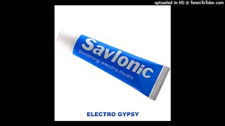 Savlonic  Electro Gypsy Acapella [upl. by Felten]