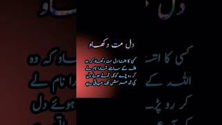 Dil mat dukhao 💔 urdu lines 😔 sadstatus islamicstatus sadlines viralshorts shortfeed [upl. by Novaat]