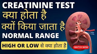 Creatinine level normal range  creatinine test in hindi  creatinine levels high [upl. by Fifine853]