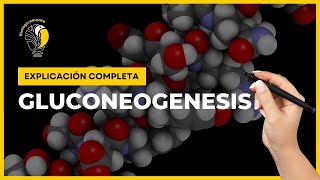 👉 Todo sobre la GLUCONEOGENESIS Paso a paso [upl. by Kenji]