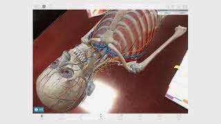 Using Augmented Reality Mode  Human Anatomy Atlas  20191 [upl. by Kcod]