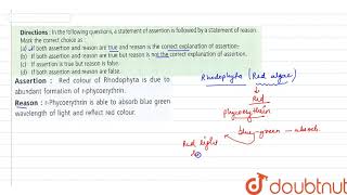 Assertion Red colour of rhodophyta is due to abundant formation of rphycoerythrin [upl. by Laurita]