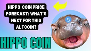 HIPPO COIN PRICE SURGE ALERT CHART SIGNALS YOU MUST KNOW  HIPPO COIN TECHNICAL ANALYSIS [upl. by Airretal199]