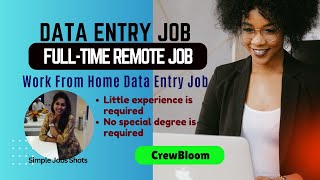 Work from Home Data Entry Job  Fulltime Remote Job Little Experience with no special degree [upl. by Lemieux]