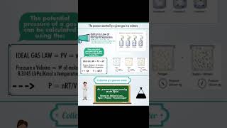 Daltons Law of Partial Pressures [upl. by Mccafferty]