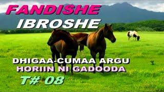 FANDISHE M Track 08 DHIIGAACUMAA ARGU BEST OROMO Music [upl. by Garrard98]