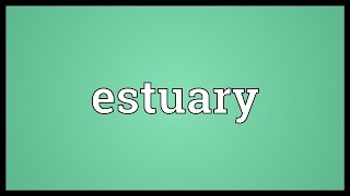 Estuary Meaning [upl. by Enelav282]