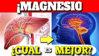 LOS MEJORES TIPOS de MAGNESIO que EXISTEN Suplementos de Magnesio [upl. by Thierry372]