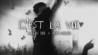 Niklas Dee  C‘est La Vie feat René Miller Official Lyric Visualizer [upl. by Gage]