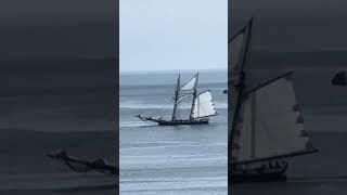 BRIGANTINE SAILING BY  ISLES OF SCILLY ENGLAND sailing travel galleon islands islesofscilly [upl. by Oicnevuj]