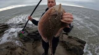 Catching Thorn Backed Rays Fishing Balcary Flat Rock With Limitless Sea Fishing [upl. by Adhern862]