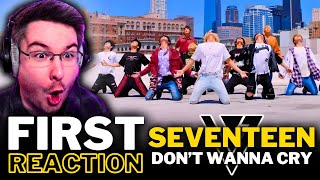 NEW KPOP FAN REACTS TO SEVENTEEN 세븐틴  DONT WANNA CRY for the FIRST TIME [upl. by Iznek902]