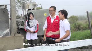 Lagu Korporat Agrobank [upl. by Nnaeinahpets]