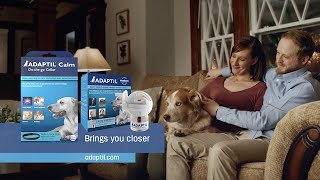 Is your dog anxious and fearful ADAPTIL is clinically proven to calm your dog [upl. by Esiled]