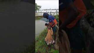 fishing in Thambala Sri Lanka [upl. by Monk]