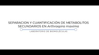 Actividad experimental 7 Metabolitos secundarios [upl. by Liliane]