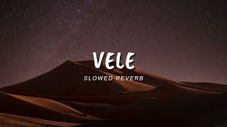 Vele Slowed Reverb Lofi song [upl. by Liddy568]