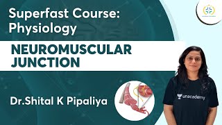 Neuromuscular Junction  Superfast Course Physiology  Unacademy Future Doctors  DrShital [upl. by Gudrin]