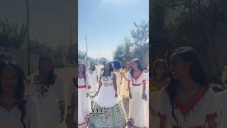 ሽምግና ፕሮግራም best pre wedding Ethiopia culture 2025 official wedding [upl. by Halsted693]