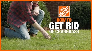 How to Get Rid of Crabgrass  Lawn Care and Maintenance  The Home Depot [upl. by Michael]