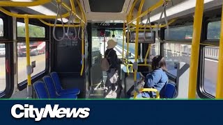 TTC rolling out new accessibility feature [upl. by Wileen]