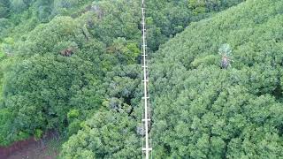 Nepalese Bridge  La Vallee des Couleurs Nature Park Mauritius [upl. by Noemys]