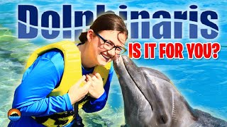 AllInclusive VIP DOLPHIN Encounter  REVIEW Of Dolphinaris Disney Dream Vlog 5 [upl. by Nyltyak]