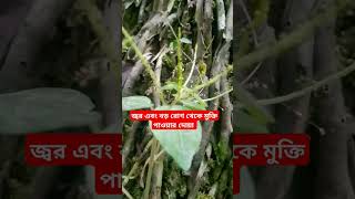 জ্বর এবং বড় রোগ থেকে মুক্তি পাওয়ার দোয়া shortsvideo dua islamicvideo shorts [upl. by Attenal]