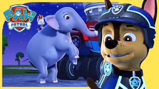 Mission PAW Sea Patrol and More ⚓️ PAW Patrol  Cartoons for Kids [upl. by Helbonia211]