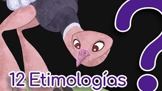 12 Palabras de origen curioso  etimologías [upl. by Wanda]