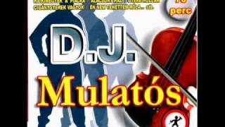 Big Boys Mulatos Mix [upl. by Ardnaed]