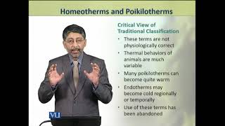 Homeotherms and Poikilotherms  Animal Physiology and Behavior Theory  ZOO502TTopic217 [upl. by Arakawa959]