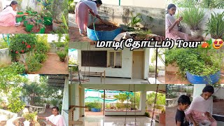 🏕🌴மொட்ட மாடியில் ஒரு கிராமத்து மண் வாசனை🥰💚🌴🏕 Madithottam tourInnovative home tourtourgarden [upl. by Mobley352]