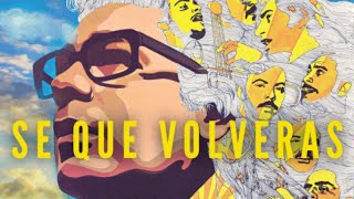 Ray Barretto  Se Que Volveras Official Visualizer [upl. by Jarrid]