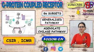 Gprotein Coupled Receptor  Adenylate Cyclase Pathway  Cell Communication  Life Sciences [upl. by Mala]