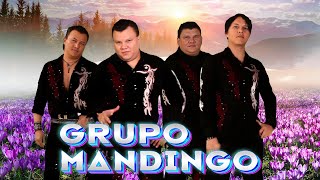 Grupo Mandingo Mix Super Éxitos Románticas Inolvidable🌹💖🎶 Los Grandes Exitos De Grupo Mandingo🌹💖🎶 [upl. by Keever588]