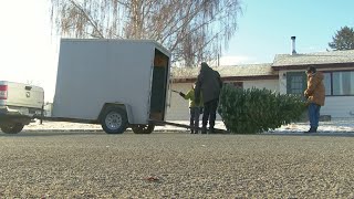 Helena Boy Scouts Christmas tree pickup benefits fish habitats [upl. by Natassia]