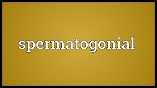 Spermatogonial Meaning [upl. by Ainehs377]