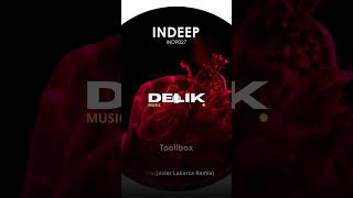 Toolbox  Delta Javier Labarca Remix by DELIK Music [upl. by Neelhtakyram363]