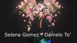 Selena Gomez  Dámelo To’  Acapella ft Myke Towers  Lyric Video [upl. by Snoddy665]