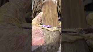 without cutdown hair color 40vol k sath ash golden color faizasalon weddinghairstyle beauty [upl. by Asilak]