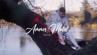 GELO  Ammor Malat Prod Drew Official Video [upl. by Bilat]