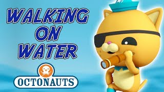 Octonauts  Walking on Water  Troubled Creatures [upl. by Bee938]