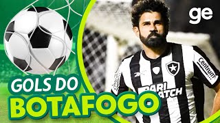 TODOS OS GOLS DO BOTAFOGO NO BRASILEIRÃO 2023  LISTAS  geglobo [upl. by Kenric]