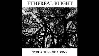 Ethereal Blight US  Invocations of Agony EP 2024 [upl. by Allerim]