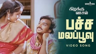 SPB Kizhakku Vaasal  Ilayaraja Pachamala Poove [upl. by Miarzim]