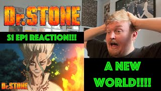 A New World Dr Stone S1 EP1 Reaction [upl. by Ayokal888]