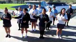 Kaipara College kapa haka group  Norwest News [upl. by Aduh461]