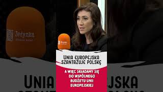 NIE ŻYCZĘ SOBIE aby Unia Europejska SZANTAŻOWAŁA POLSKĘ [upl. by Oiratnom]